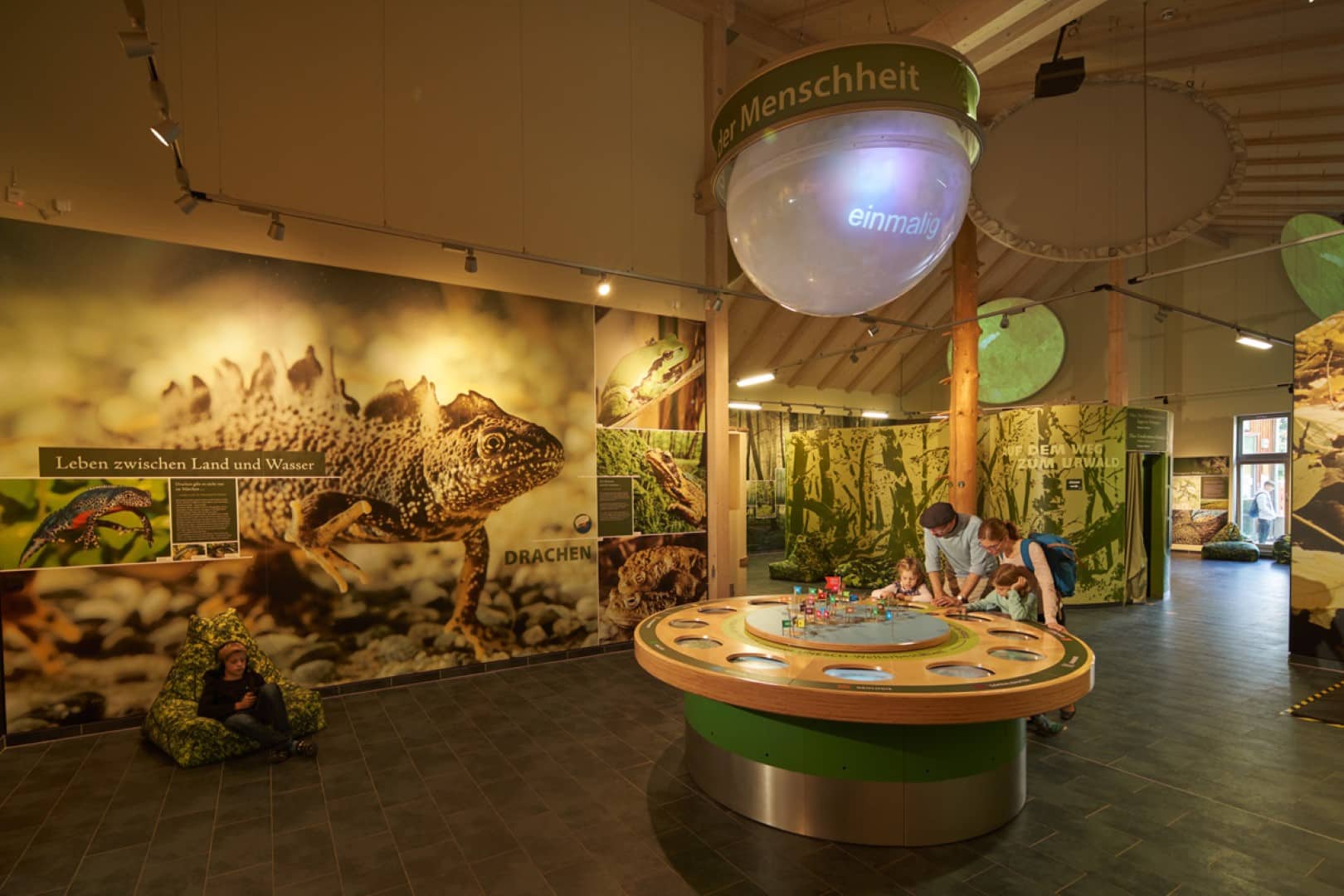 Angebot: 10% Rabatt auf Eintritt Baumkronenpfad inkl. Erlebniswelten